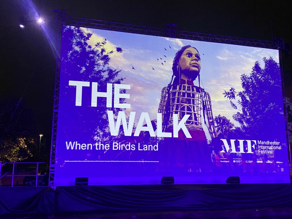 Photo of the screen on the night of the When the Birds Land event